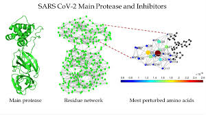 Proteases are characterized in many different ways. Protease Inhibition Could Help Defeat Sars Cov 2