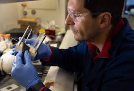 Carbon-cloth electrodes bring new possibilities to seawater desalination