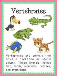 More than 600 free online coloring pages for kids: Pin On Kindergarten Teachers