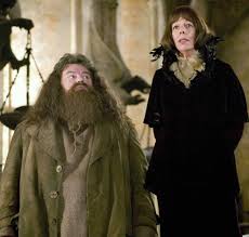 And since madam maxime is fairly comparable to hagrid in size we can determine that she is also i don't know who maxime thinks she's kidding, harry said, watching madame maxime sitting alone at. Create Meme Harry Potter Harry With Hagrid Madame Maxime From Harry Potter Actress Pictures Meme Arsenal Com