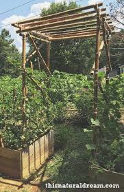 Pergola Bioclimatique Lapergolasorrento Design De Jardin Potager Bambous Jardin Arche Jardin