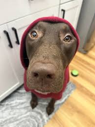 Us Central Floridians are just trying to survive these temperatures 🥶😅