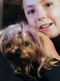 Hickory, NC Please contact OWNER if seen!!