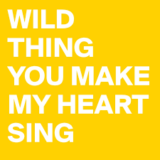 But wild thing holds a special place in his heart. Wild Thing You Make My Heart Sing Post By Claudio On Boldomatic