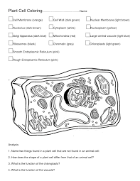 Simple Plant And Animal Cell Coloring Cell Membrane Coloring Worksheet Plant And Animal Cells Animal Cell