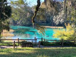 Hours may change under current circumstances The 5 Best Resorts Near Rainbow Springs State Park Dunnellon Tripadvisor