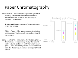 Paper Chromatography Lab Report Best Website For Homework Help Services