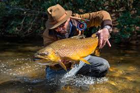 Since 2001, we have been sharing our areas of ellijay and blue ridge with guests from across the united states. Where To Go Fly Fishing In Georgia Official Georgia Tourism Travel Website Explore Georgia Org