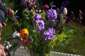 Jetradar suggests buying flights to traverse city in advance in order to choose the conditions for your flight based on your preferences and financial resources. Omena Cut Flowers U Pick Garden In Leelanau County 9 10 News