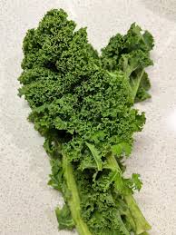 Image result for kadeřávek