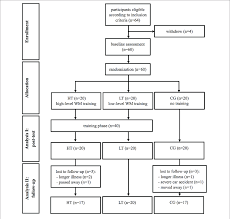 flow chart of the study design wm working memory ht high