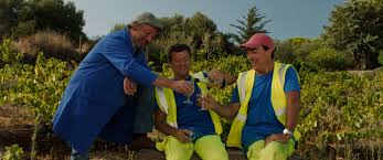 Le maire, aidé de son chef de service, énarque et parisien, ont le noir dessein de réduire l'effectif des salariés. Les Municipaux Trop C Est Trop De Eric Carriere Francis Ginibre 2019 Unifrance