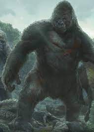 Kong S Father King Kong Skull Island Kong King Kong