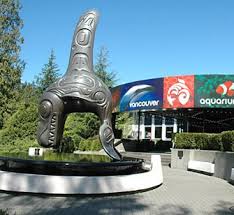 We did not find results for: Vancouver Aquarium The 6th International Workshop On Relaxor Ferroelectrics Simon Fraser University