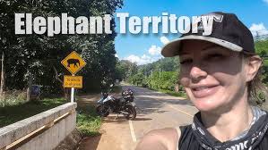 Day Trippin' Mae Wang (& Doi Inthanon Area).