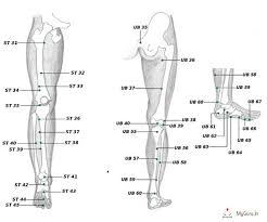 acupressure points chart in legs charts of acupressure points