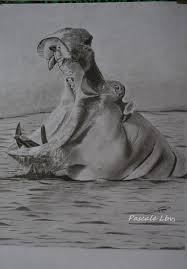 168 L Hippopotame Des Dessins Au Gre De Mes Envies Pascale Lbv Petit Felin Dessin Hippopotame Croquis Animaux