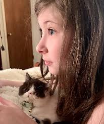 Bicolor Exotic Shorthair & Exotic Longhair Kittens Gallery