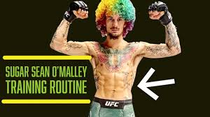 Choose your favorite sugar sean omalley shirt style: Suga Sean O Malley Training Routine Youtube