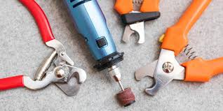 Top 5 best cat nail clippers and trimmers. The Best Dog Nail Clippers Reviews By Wirecutter