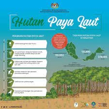 Merekod, mendokumentasi, memelihara, memulihara dan mempamer serta menyebarluaskan hasil penyelidikan dan koleksi warisan budaya dan alam semula jadi (flora dan fauna) brunei darussalam. Jabatan Perhutanan Semenanjung Malaysia Info Perhutanan Hutan Paya Laut Atau Hutan Bakau Merupakan Suatu Ekosistem Unik Yang Membentuk Jajaran Hijau Green Belt Disepanjang Muara Sungai Dan Pantai Berlumpur Ia Merupakan Habitat