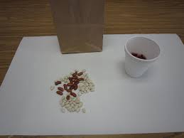 The Wild Bean Population Estimating Population Size Using The Mark And Recapture Method I Have Always Ecology Teaching Biology Life Science Classroom