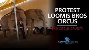 Please note that the box office, concessions, and optional activities accept cash only. Marianna Fl Protest Loomis Bros Circus Jackson County Agriculture Center Marianna 6 April 2021