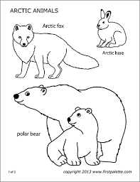 Children will be engaged and excited to learn about the emperor penguins, orca whales, elephant seals. Antarctic Polar Animals Free Printable Templates Coloring Pages Firstpalette Com