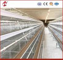 Bestchickencage Ordinary Type Layer Cage China Wooden Chicken Layer Coops  Factory OEM Custom Good Ventilate Design Exercise Chicken Layer Cage
