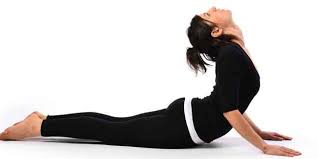 Yoga Cobra Pose On Health Snake Charmer S Language For Yoga Htv Easy Yoga Poses Basic Yoga Poses Yoga Poses