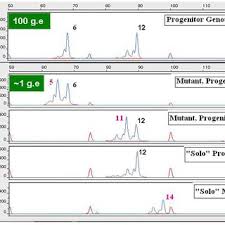 Mary COOLBAUGH-MURPHY