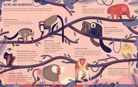 Mad About Monkeys Owen Davey Illustration Weird Wonderful 1600 C Jpg 1600 1008 Monkey Illustration Graphic Illustration Illustration