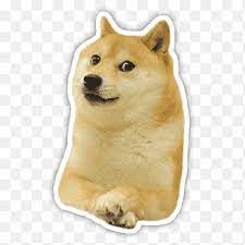 Entdecken sie ihren look bei c&a. Shiba Inu Shiba Inu 0 Star Doge Weird Game T Shirt Doge Mammal Face Png Pngegg