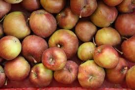 Il s'agit d'un croisement entre la golden. Pommes Jonagold 1kg Be Lincelam