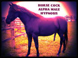 Horse cock hypnosis