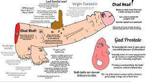 The OFFICIAL Virgin vs Chad guide to cock and ball anatomy (NSFW) :  r/virginvschad