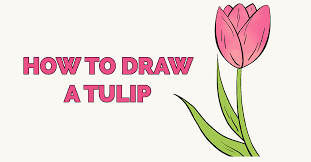 Maybe you would like to learn more about one of these? How To Draw A Tulip Really Easy Drawing Tutorial