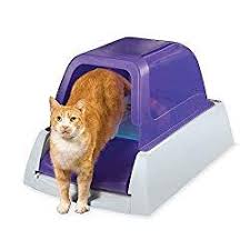 Must Have Petsafe Scoopfree Ultra Self Cleaning Litter Box Best Litter Box You Can Get Catlovers Kittenlover Best Cat Litter Best Litter Box Cat Litter Box
