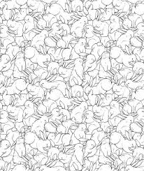 lilipinso bunny wallpaper rabbits ǀ