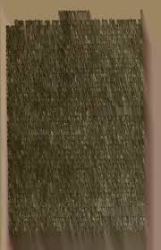 Image result for Metasphaeria diplodiella