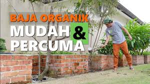 Rahsia baja organik kulit telur | menang #mykif fasa 2 2021, april. Cara Mudah Buat Baja Organik Cair Nasi Basi Buatan Sendiri Kaya Dgn 83 Mikro Mineral Jadam Jms Youtube