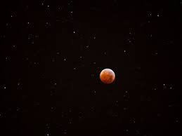 Free for commercial use no attribution required high quality images. Lunar Eclipse Wallpaper Contest Yields Hundreds Of Photos