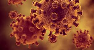 Hiv (human immunodeficiency virus) adalah virus yang menyebabkan aids. 10 Tanda Anda Mungkin Dijangkiti Virus Hiv Iluminasi