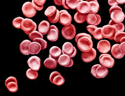 A Closer Look At Promising Alternative Therapies For Lyme Disease Goop
