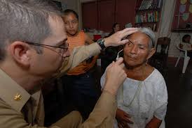 Image result for Nicolasia