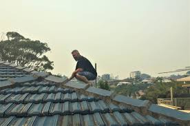 It will also scour the premises for. Building Pest Inspections Coffs Harbour Inspect My Home