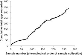 Image result for Eriocaulon teusczii