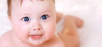 Muhabbet kuşları papağan familyasından olan ve türlere dağılan güzel ve çok sevimli. Yenidogan Giyim Dr Senay Dogan