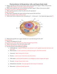 Student exploration meiosis gizmo answer key teaches us to manage the response triggered by various things. The Control Center Of The Cell Containing Chromosomes Is The Quizlet