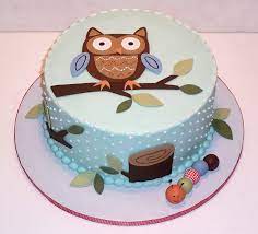 The Icing On The Cake Baby Owl Kuchen Fur Babyparty Partykuchen Kuchen Ideen